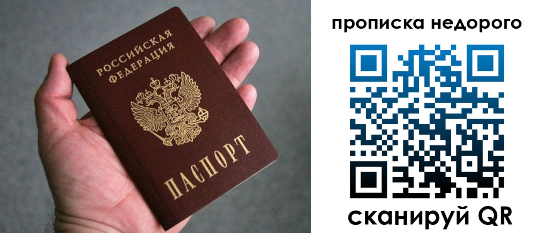 прописка поиск в Сухиничи